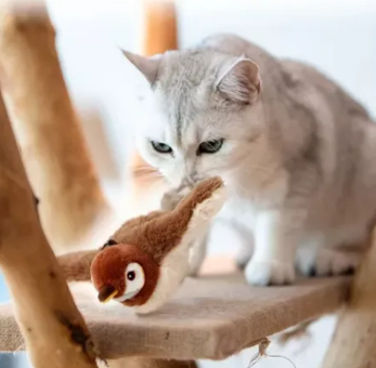 PAJARO VOLADOR PARA GATOS YY-202426